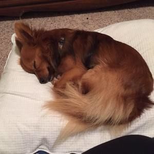 Meet your Posher, Kristin